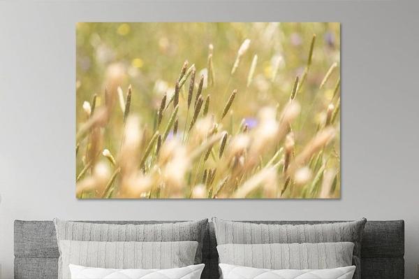 Hoe haal je sfeer & emotie in huis? | 